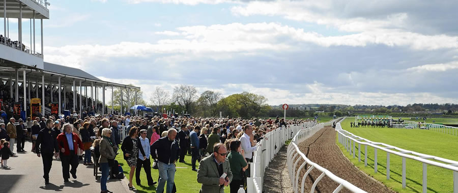Wetherby Racing